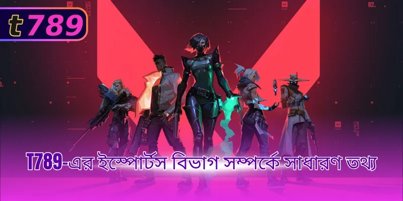 T789-এর ইস্পোর্টস বিভাগ সম্পর্কে সাধারণ তথ্য