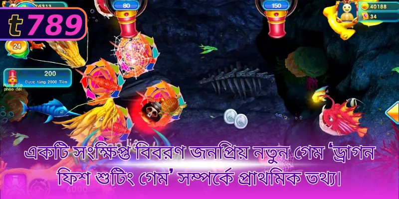 একটি সংক্ষিপ্ত বিবরণ জনপ্রিয় নতুন গেম ‘ড্রাগন ফিশ শুটিং গেম’ সম্পর্কে প্রাথমিক তথ্য।